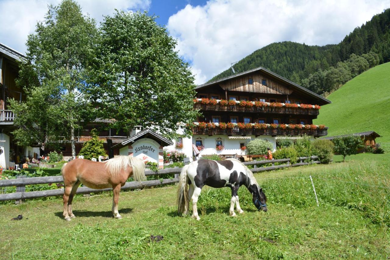 Kradorferhof Apartment Santa Maddalena in Casies Exterior photo